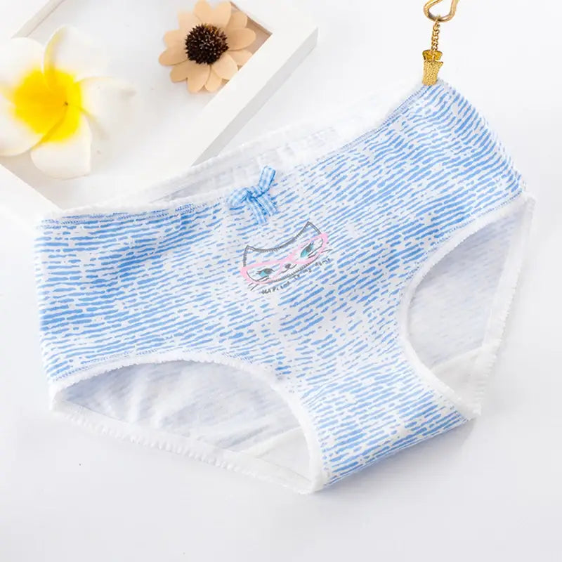 5Pcs Cotton Underwear Women’s Panties Plus Size Briefs Girls Calcinha Sexy Lingerie Ladies Panty Print Cartoon Female
