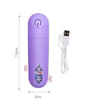 10 Speed Mini Bullet Vibrator Rechargeable Clitoral Stimulator