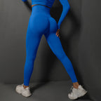 High Waist Seamless Yoga Leggings Various Colors