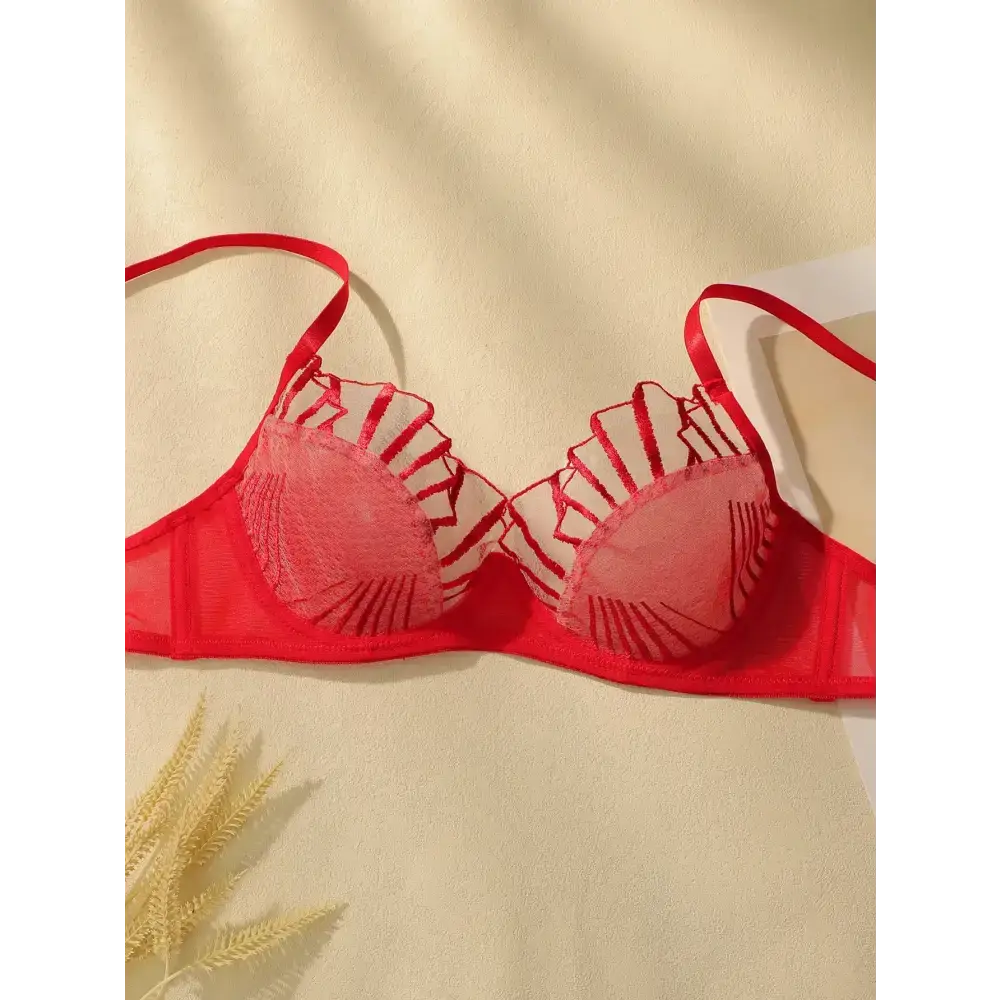 Red comfortable underwire bra and panty set with intricate mesh and embroidery details