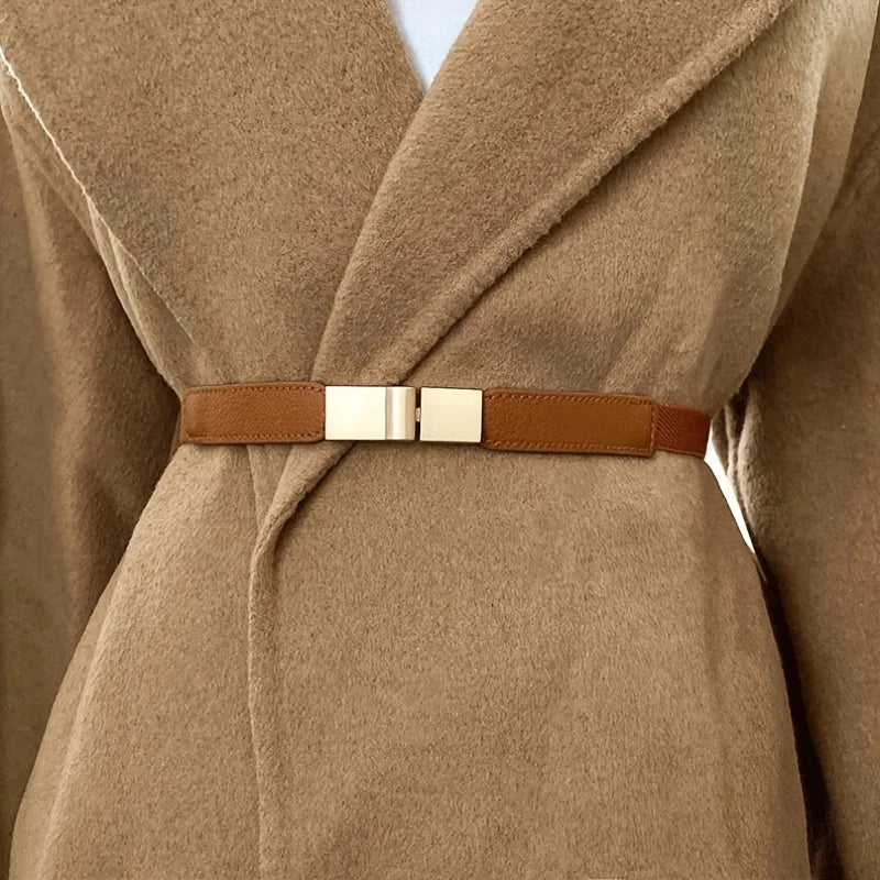 Stylish brown fashion belt for dresses with a sleek metal buckle for a chic look
