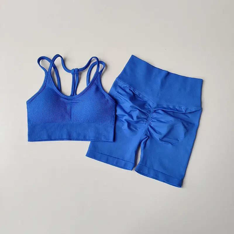 Fitness Bra and Shorts Set Collection - The Lady's Haven Boutique