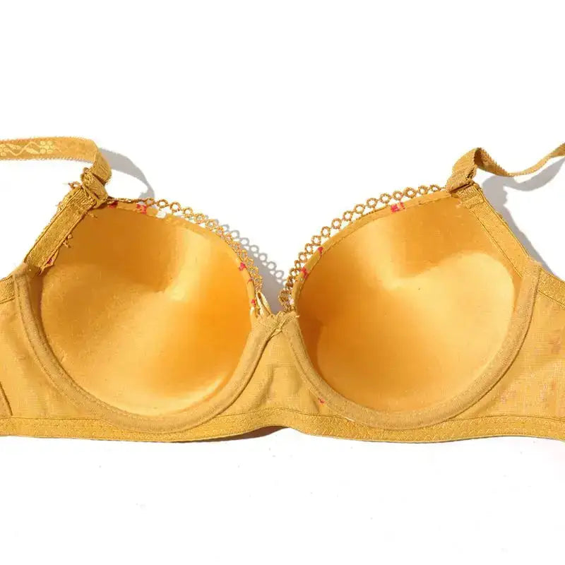 Floral Bras for Women Push Up Padded Lace Bra Underwire Embroidered Lingerie 75B-90B - The Lady's Haven Boutique