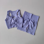 Ladies fitness clothing set featuring a lavender sports bra and matching high-waisted leggings