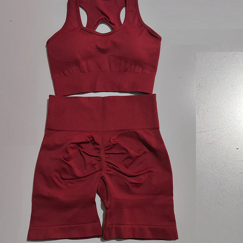 Maroon ladies fitness clothing set including a supportive sports bra and high-waisted shorts