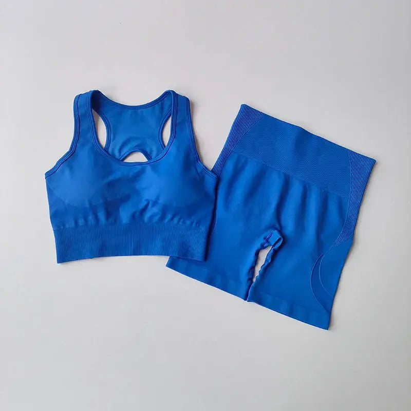 Ladies Fitness Clothing Set Stylish Comfortable - The Lady's Haven Boutique