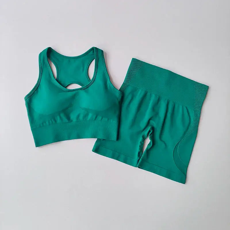 Ladies Fitness Clothing Set Stylish Comfortable - The Lady's Haven Boutique