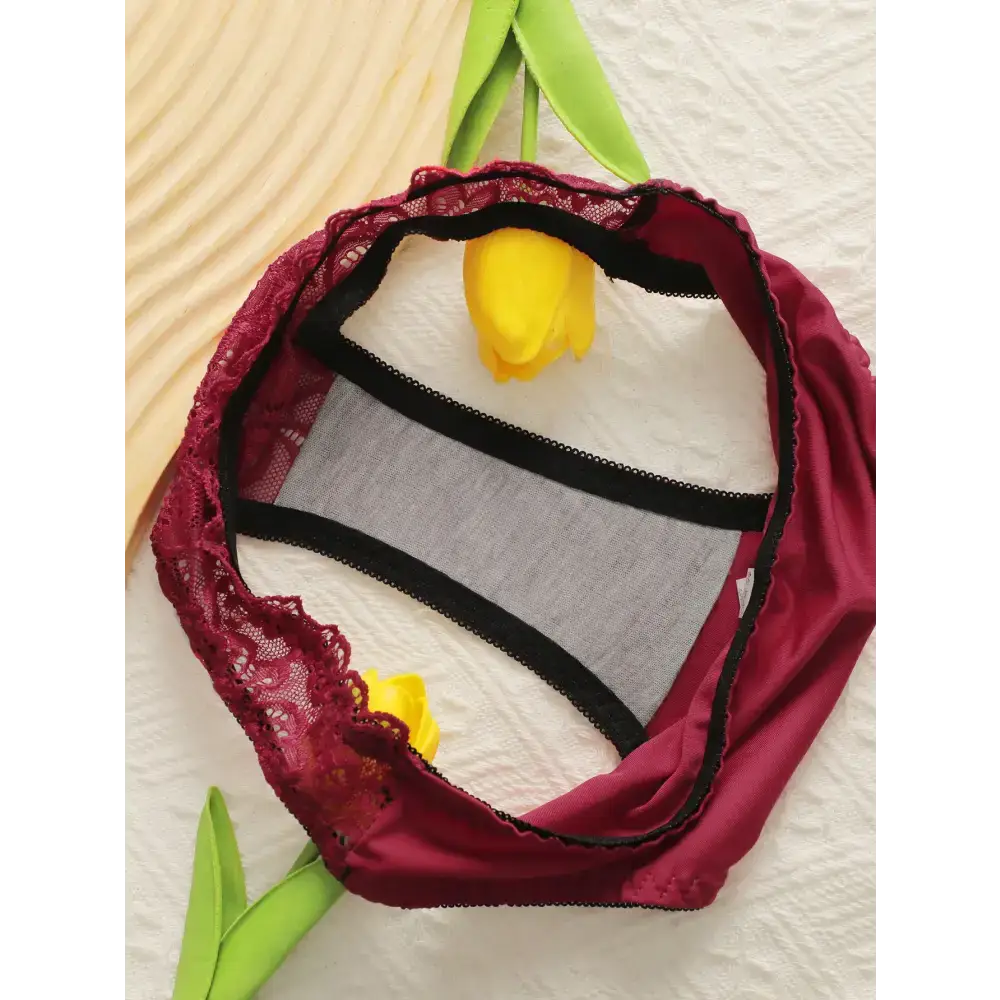 The Lady's Haven Boutique sexy embroidered lace lingerie set with burgundy lace and satin details