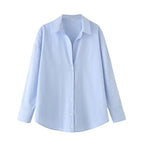 Light blue spring long sleeve office shirt with classic collar and button-down front from The Lady's Haven Boutique