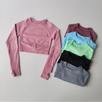 Colorful collection of yoga fitness tops for women in various styles and sizes from The Lady's Haven Boutique